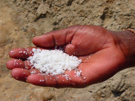 Salt 51973 340