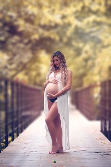 Maternity 2940048 340